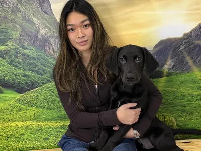 Male Labrador Retriever Puppy for Sale in Lee's Summit, MO