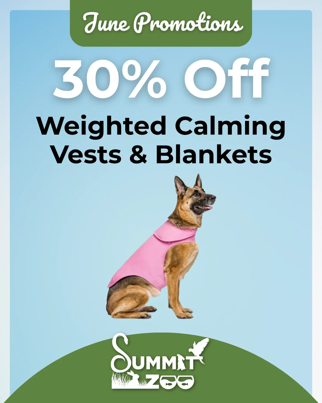 June promotion: 30% off weighted calming vests and blankets for pets, featuring a German Shepherd wearing a pink calming vest at Summit Zoo.