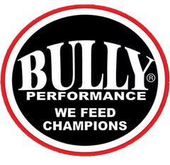 bully