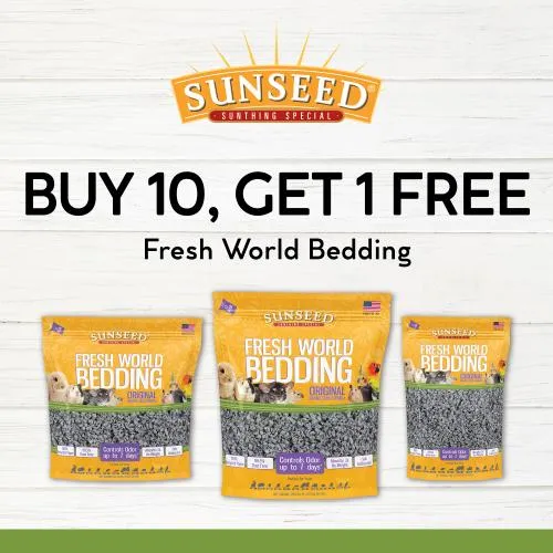 Promotion Image