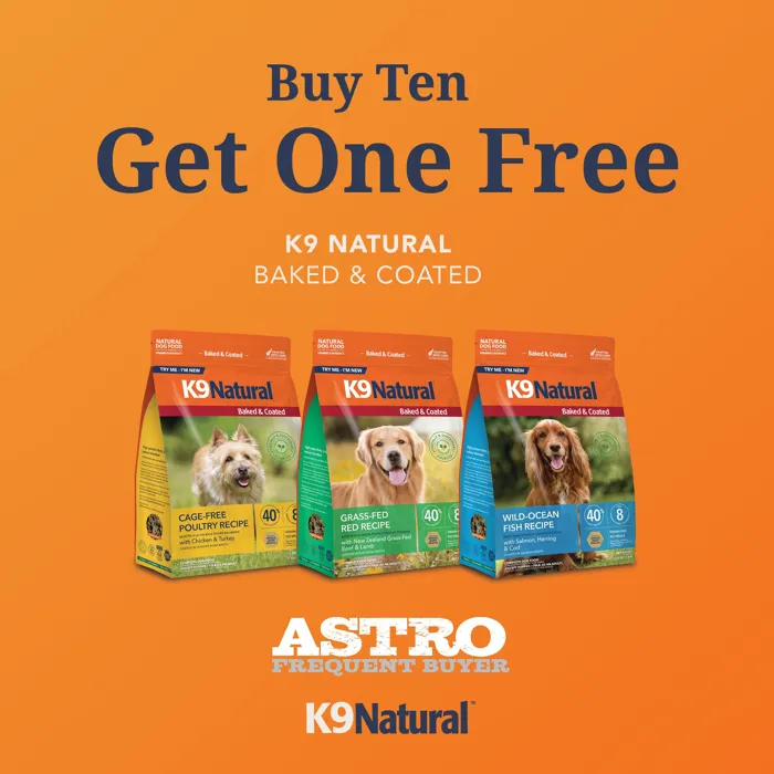 Promotion Image
